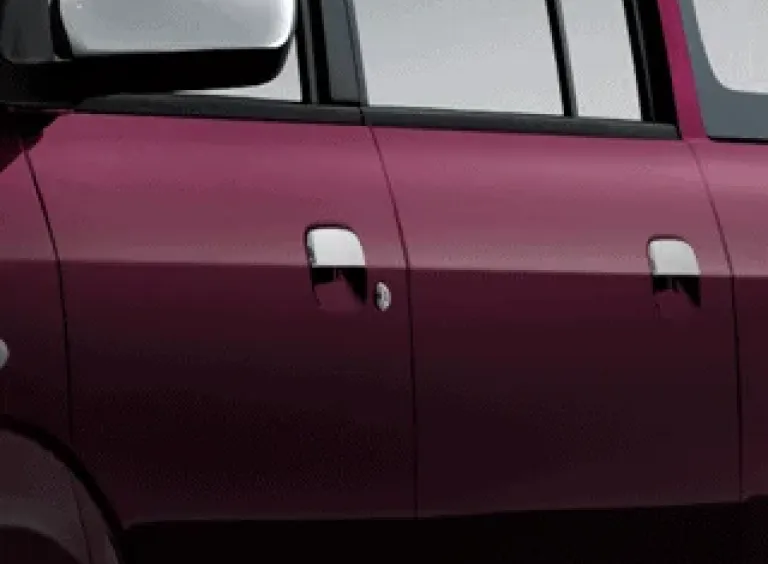 Chrome Door Handle