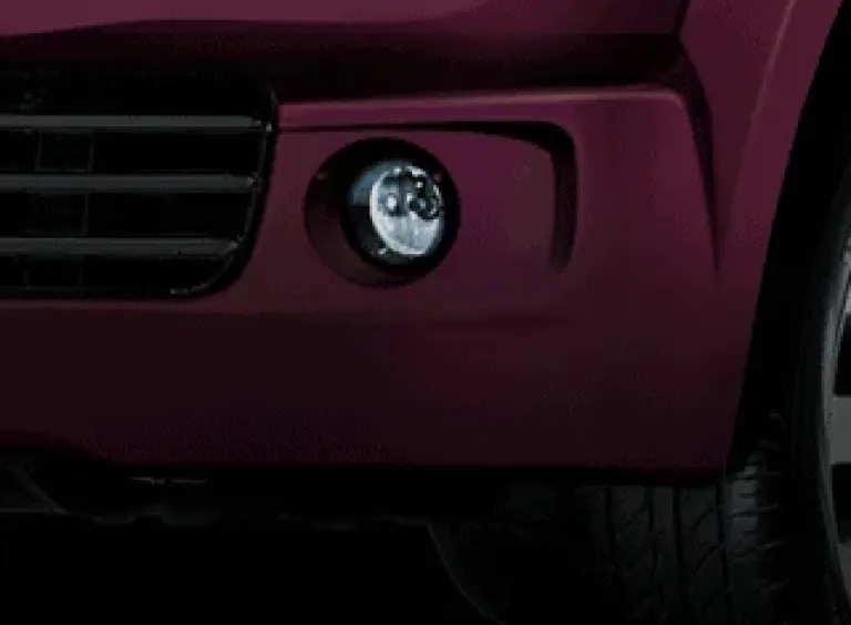 Chrome Fog Lamp with DRL