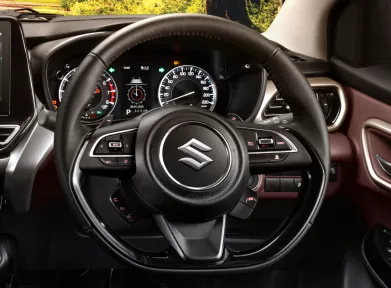 Steering Wheels With Cruise Control Button (SGX & GX Only) &
            ACC (SGX Only)