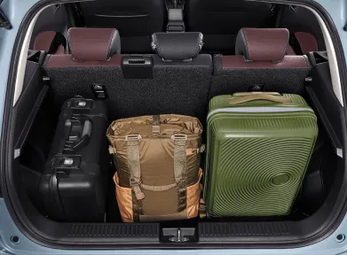 Spacious Baggage