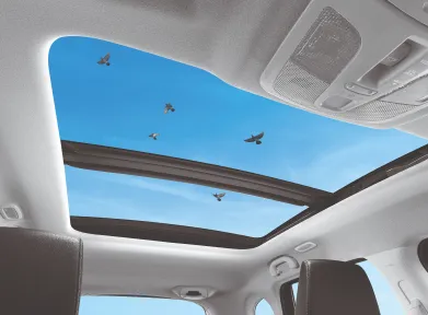Panoramic Sunroof