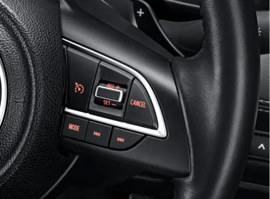 Paddle Shift + Cruise Control