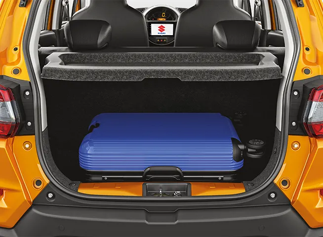 Spacious Luggage 2